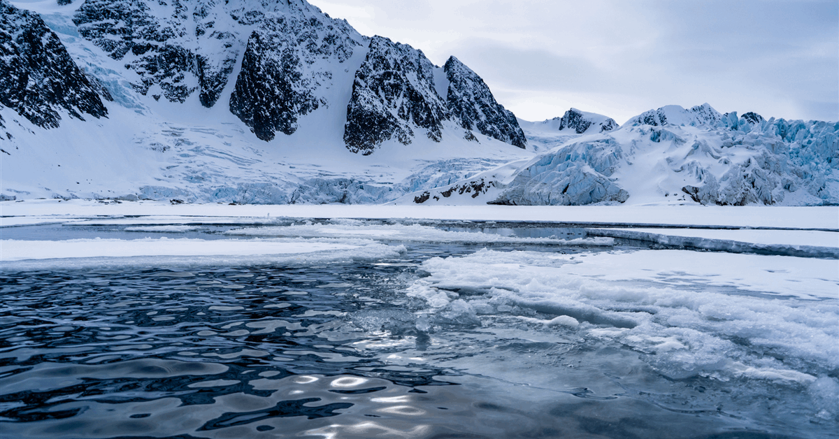 Arctic Refuge Auction Will Test Oil Industry Appetite